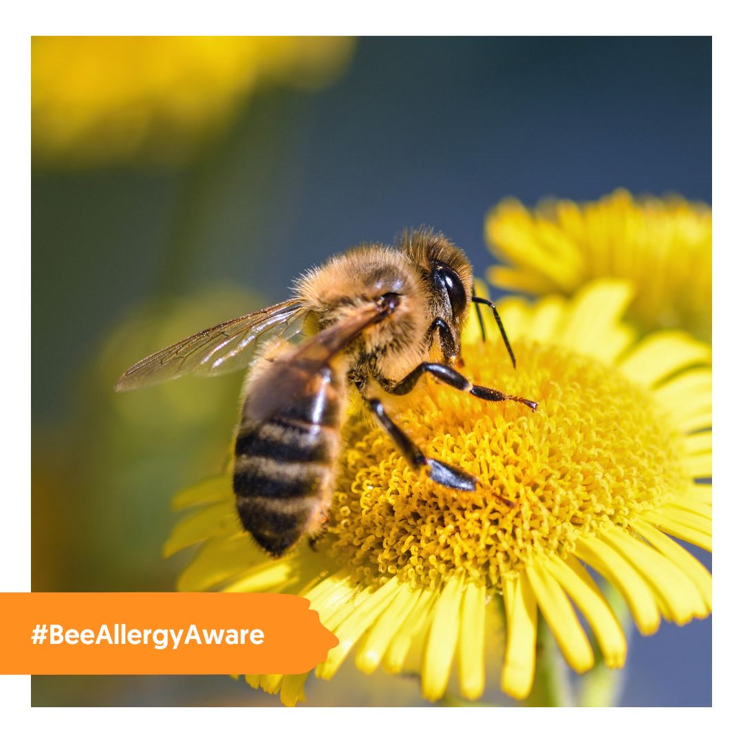 Bee Allergy Aware
