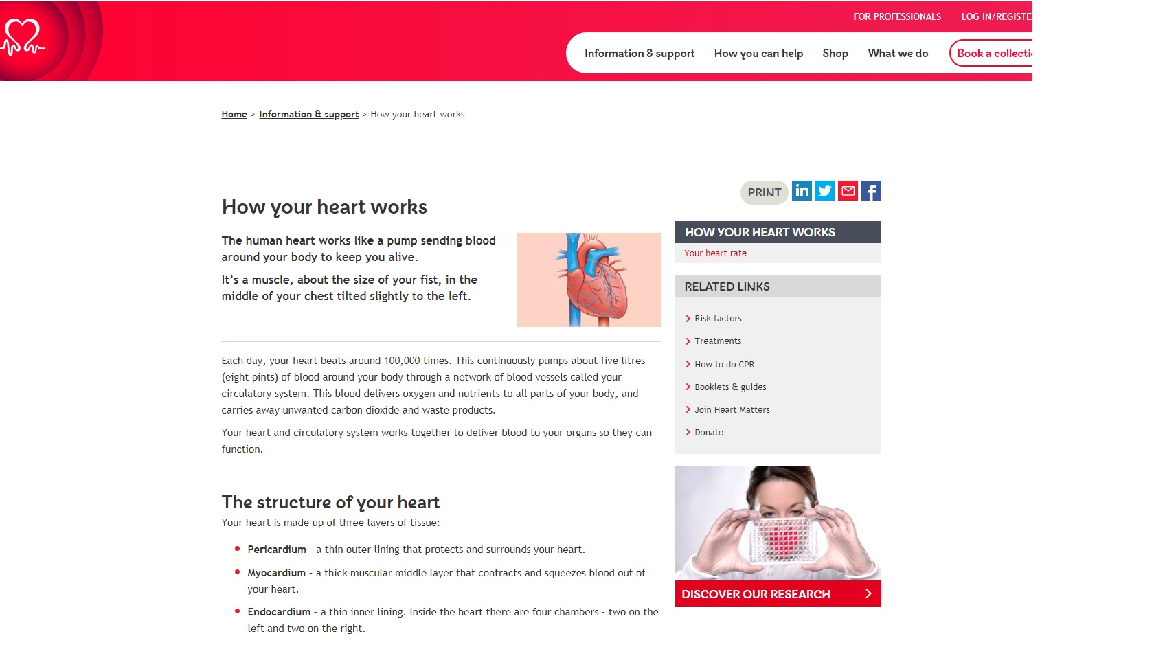 How the Heart works