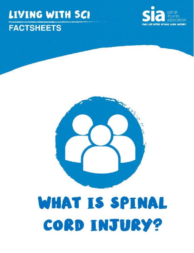 What is Spinal Cord Injury