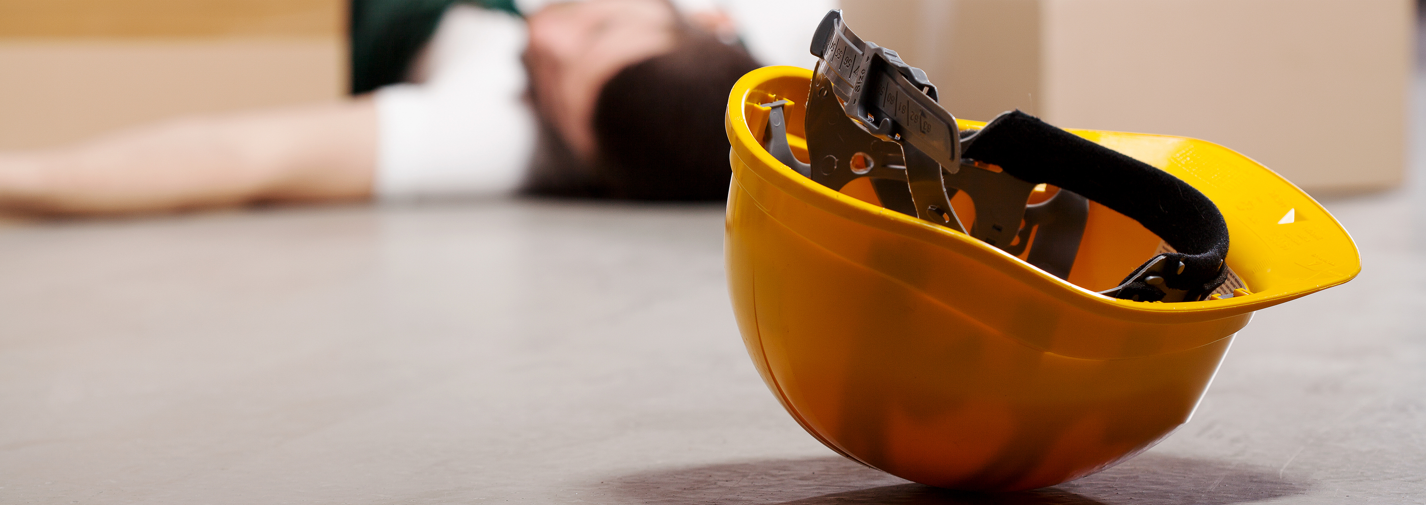 E Learning - Workplace Health and Safety