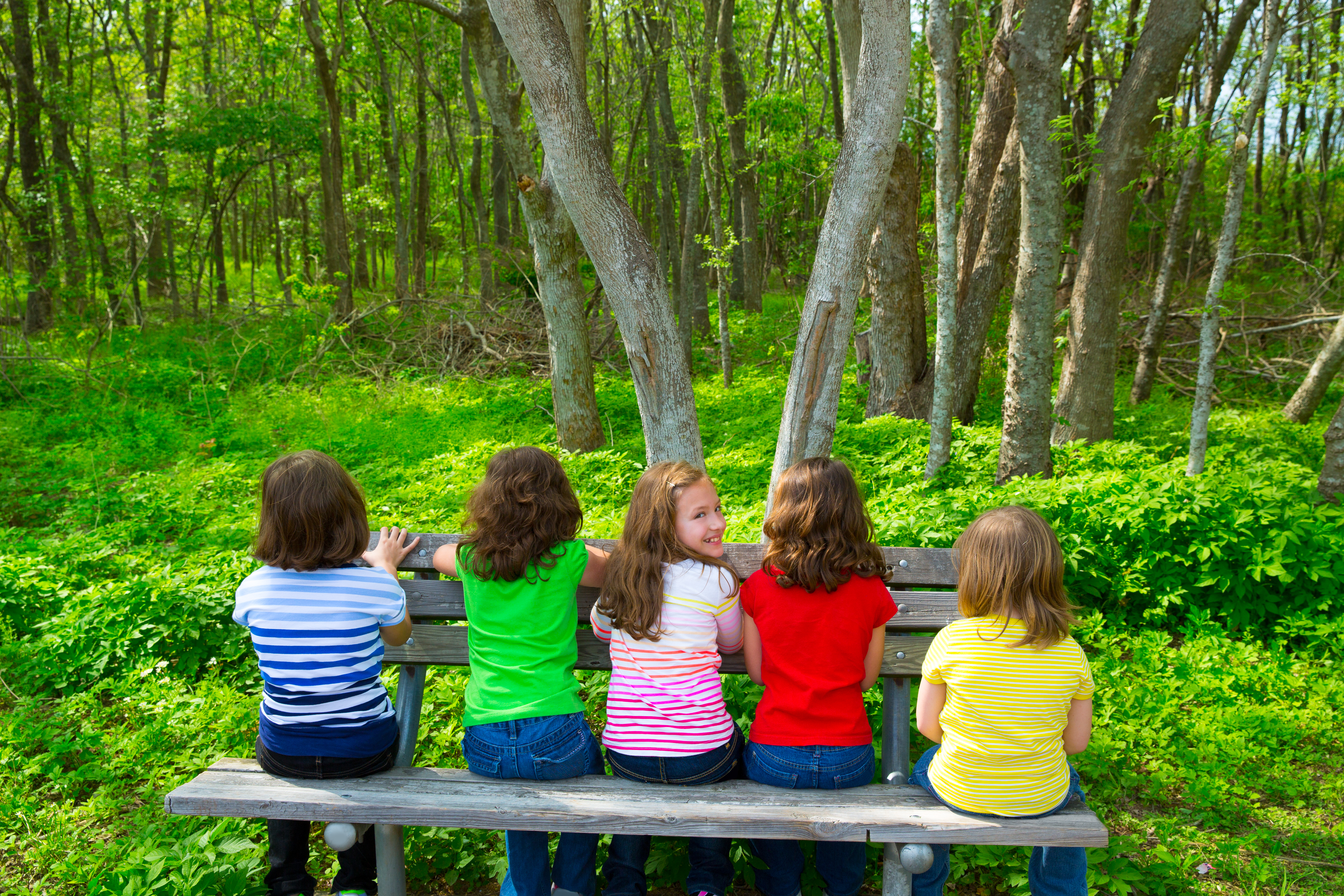Forest School First Aid