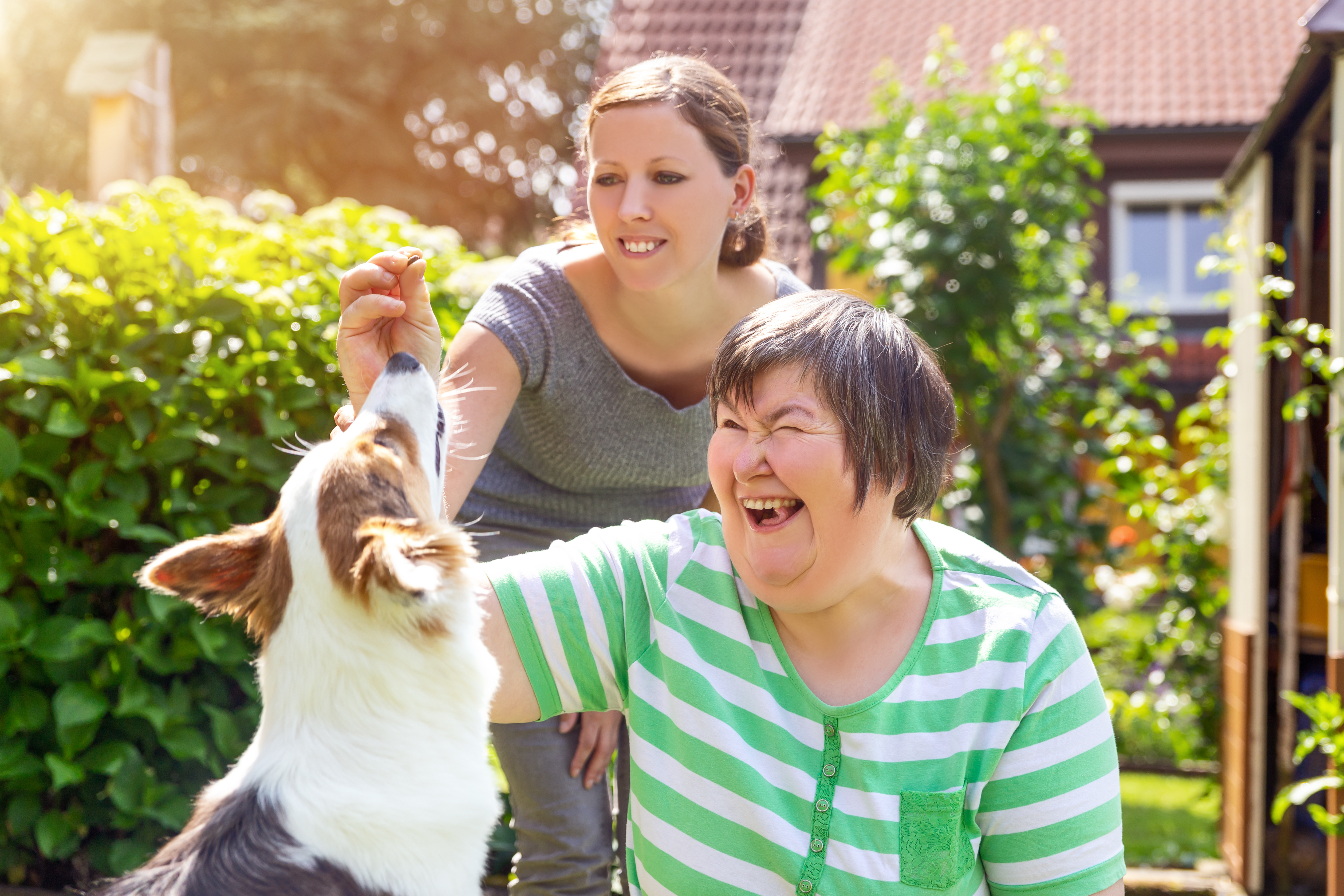 E Learning - Safeguarding Adults