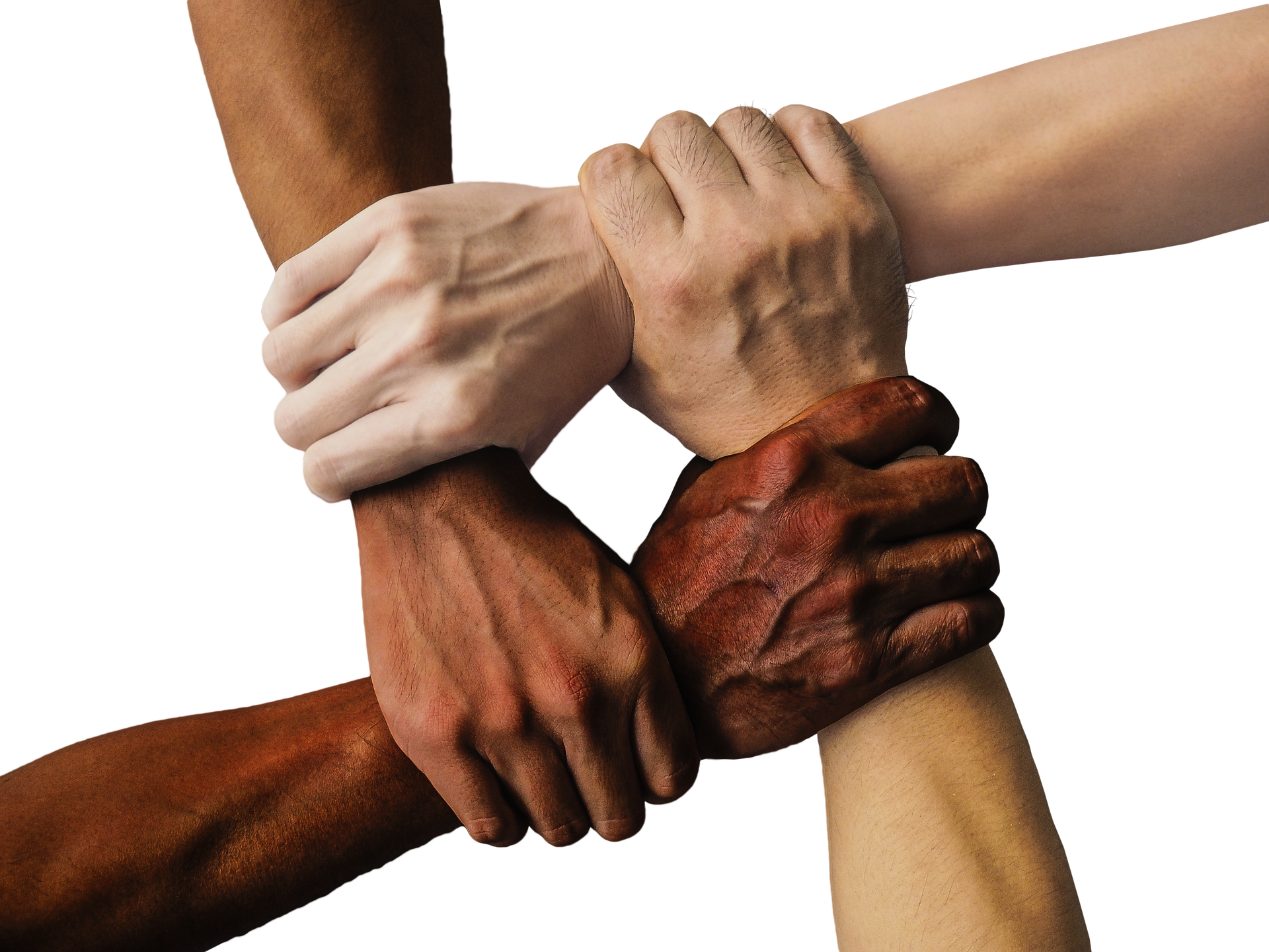E Learning - Equality, Diversity and Discrimination