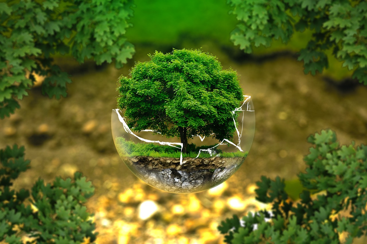 E Learning - Environmental Awareness